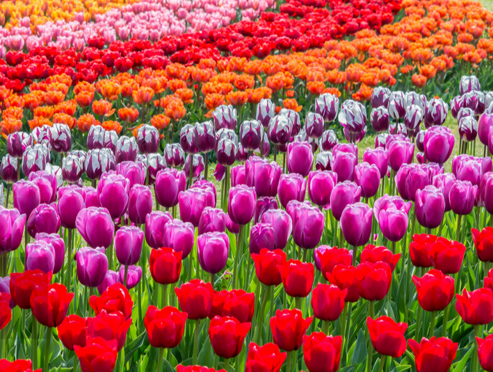 江西旅游打卡地有哪些呢？