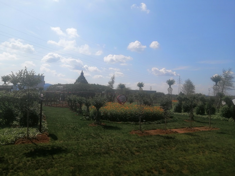 江西旅游打卡 江西旅游打卡