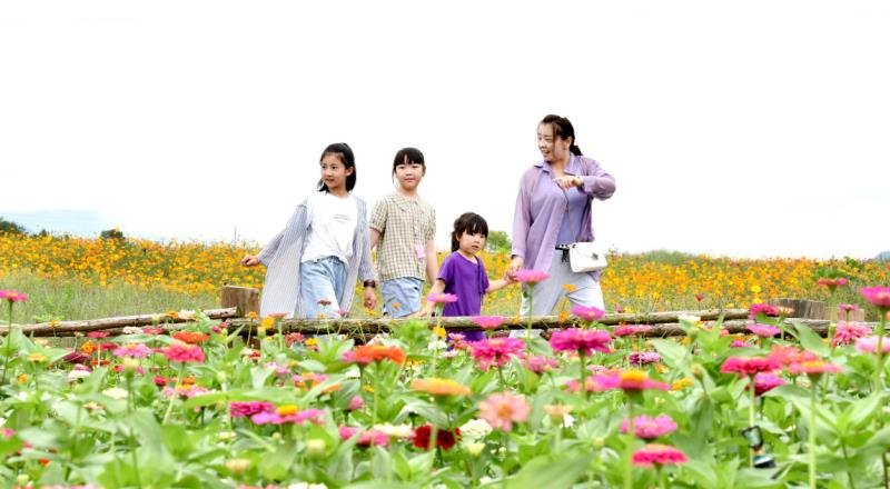 江西夏令營研學(xué) 江西夏令營研學(xué)